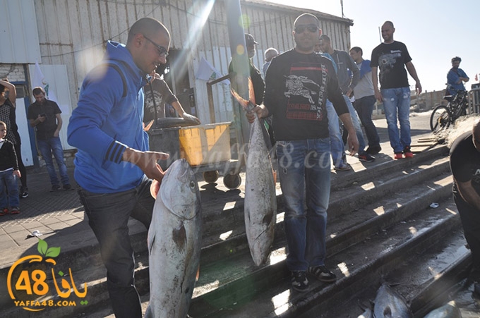 samak antayasa (16).JPG